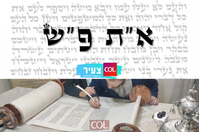 מאל