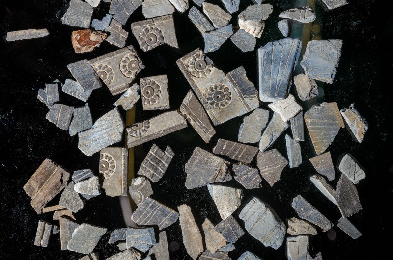 אוסף נדיר ויוקרתי של שנהבים מעוטרים התגלה בעיר דוד