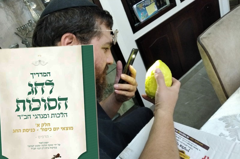 סוכות תשפ