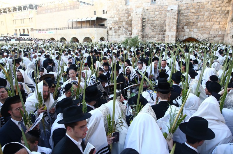 בעלות השחר: מניין וותיקין של 'הושענות' בכותל המערבי | צפו