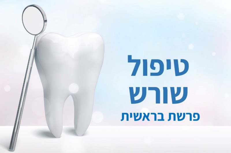 טיפול שורש | טור לפרשת שבוע וצמיחה אישית