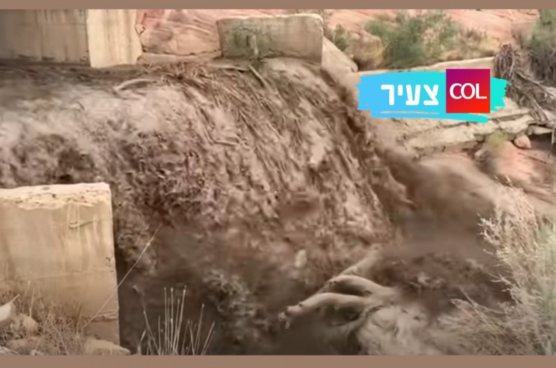 מבול של עצים: כך נראים השיטפונות האיומים במדבריות