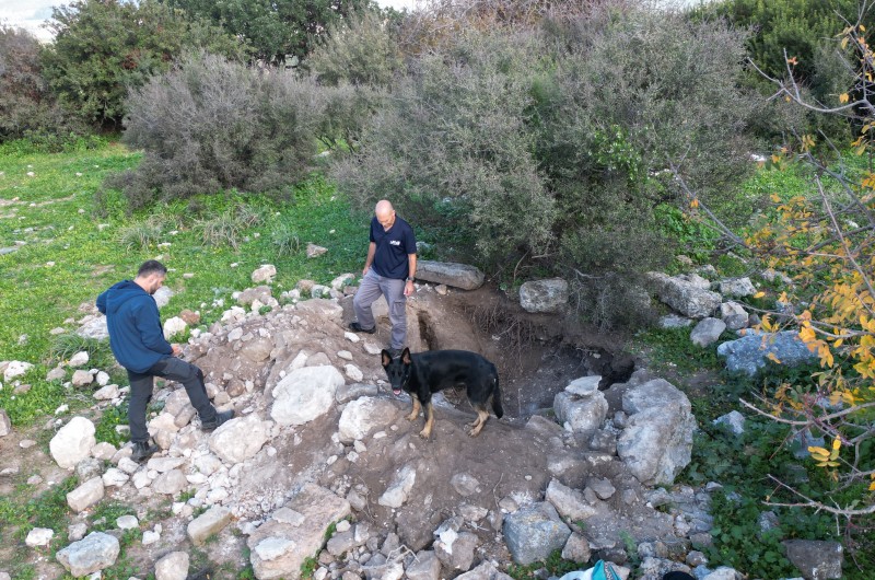 שודדי עתיקות נתפסו 