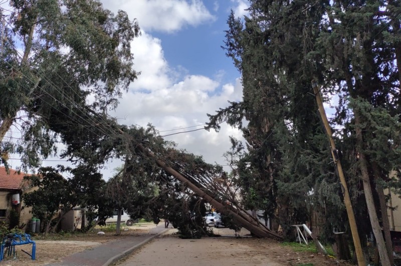 בעקבות מזג האוויר הסוער והסופה, נפל עץ גדול ברחוב הרב טרבניק בכפר חב