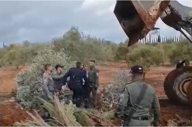 סוער בתוך הקואליציה: האשמות הדדיות על הרס הכרם בשילה