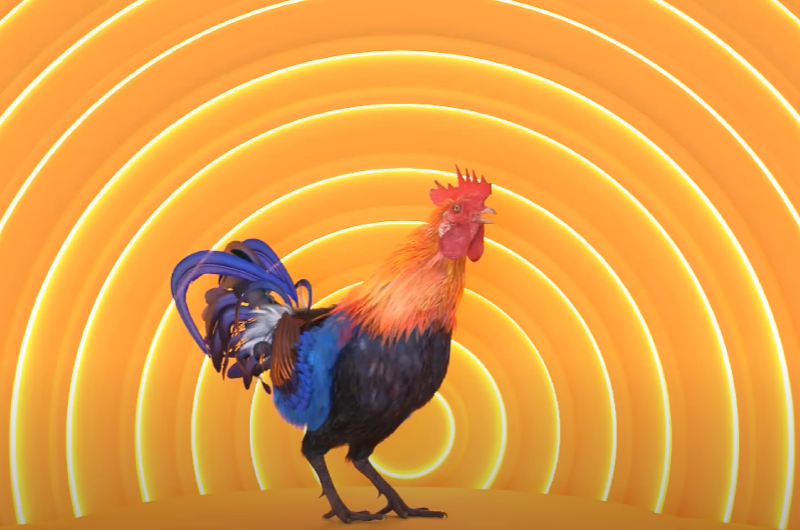 שיר התרנגולים: כשקרקורי התרנגולים הפכו לשיר מקפיץ