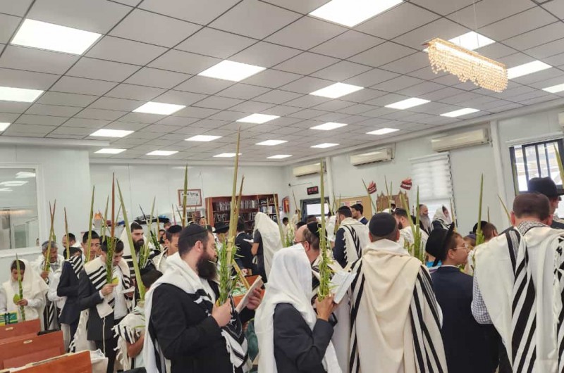 'הושענא למען עמך': חסידים ואנשי מעשה בתפילת שחרית ראשונה של חול המועד סוכות, בבית הכנסת חב
