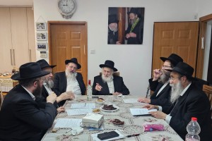 הרבנים החדשים של ביה