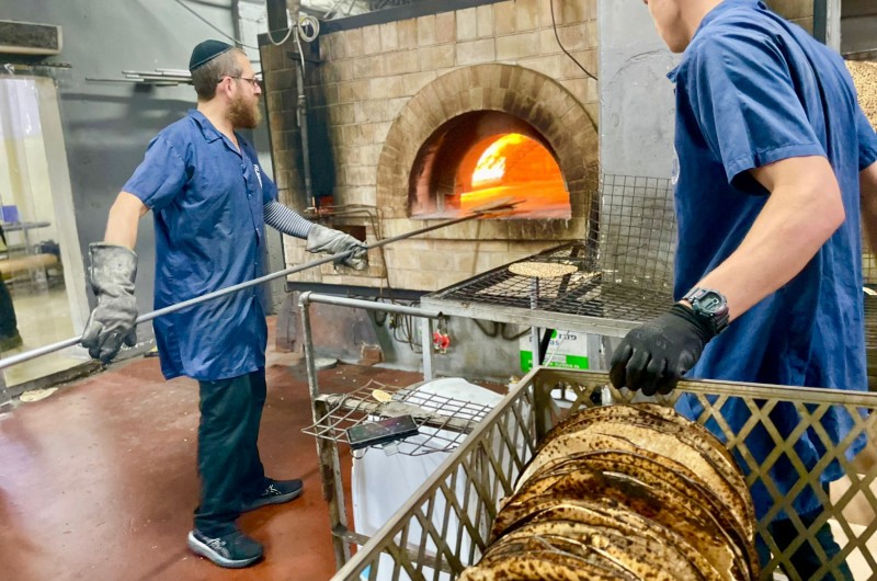 תנור ראשון: במאפיית המצות בכפר חב״ד כבר החלו לאפות מצות לקראת חג הפסח תשפ״ה