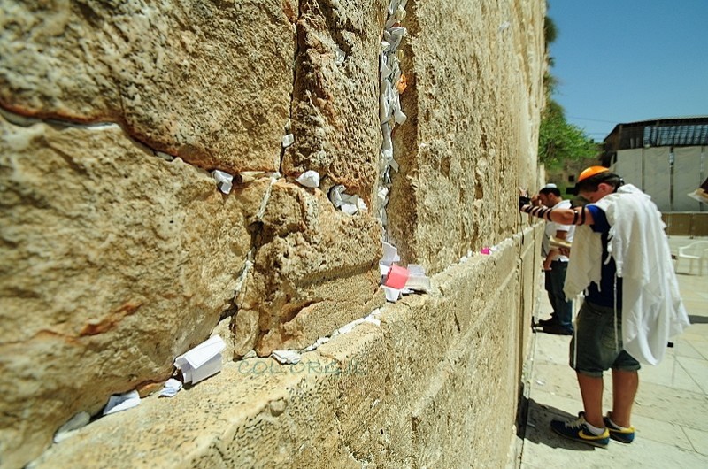 מה אוכלים בסעודה הראשונה, ומה בסעודה השנייה?