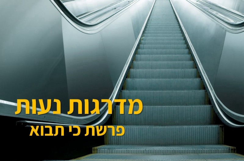 הביפרים בסכנה | טור לפרשת שבוע וצמיחה אישית