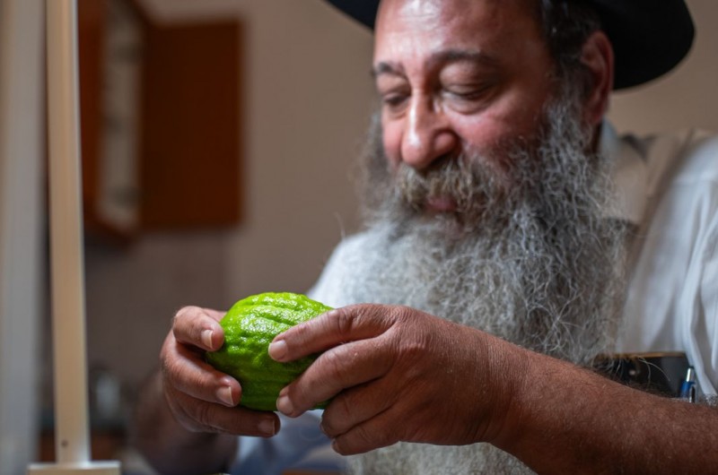 באוקראינה יברכו על 'ארבעת המינים' מצפון ישראל המופגזת