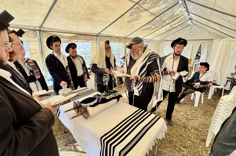תפילת שחרית במניין האבלים בבית משפחת ספרנאי, היושבת 'שבעה' אחר הרב יוחנן יהודה ספרנאי ז תפילת שחרית במניין האבלים בבית משפחת ספרנאי, היושבת 'שבעה' אחר הרב יוחנן יהודה ספרנאי ז