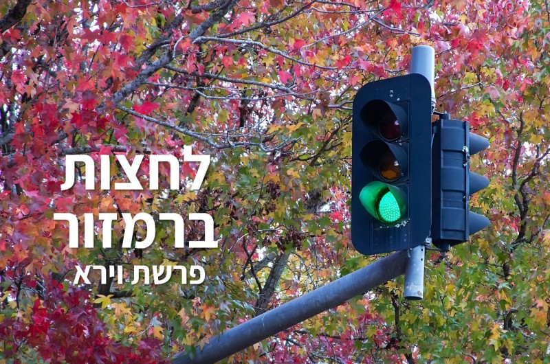 לחצות ברמזור | טור לפרשת שבוע וצמיחה אישית