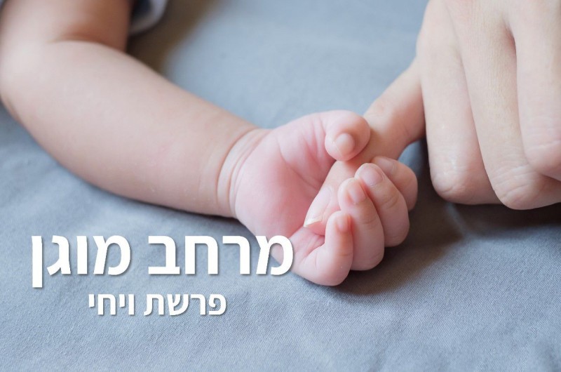 מרחב מוגן | טור לפרשת שבוע וצמיחה אישית