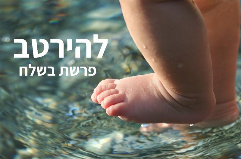 להירטב | טור לפרשת שבוע וצמיחה אישית