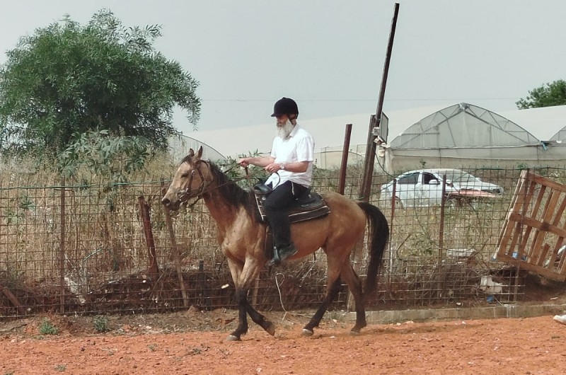 האבות והבנים מחב