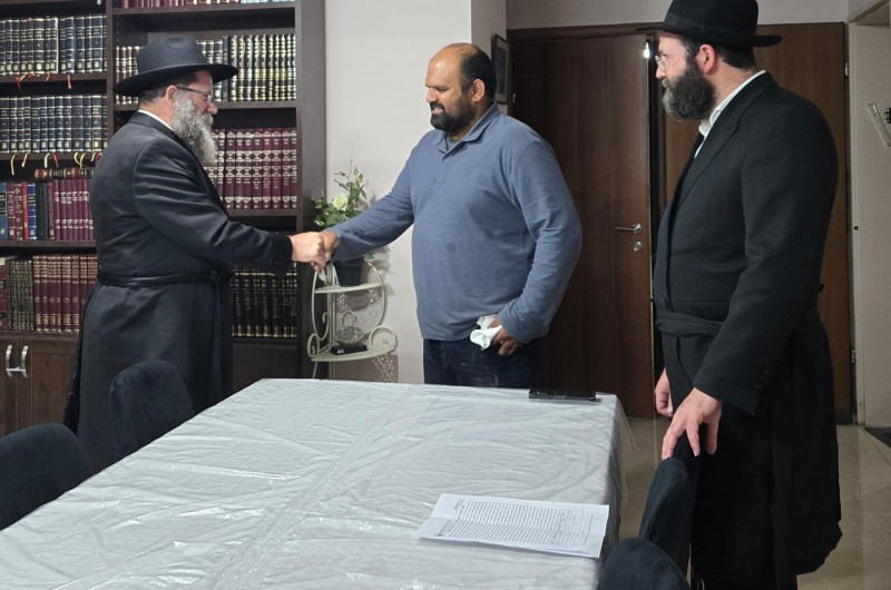 מד מד