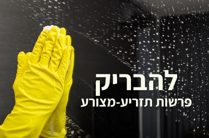 טור לנשים, לפרשת שבוע וצמיחה אישית טור לנשים, לפרשת שבוע וצמיחה אישית