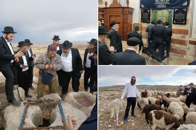 הצוות החינוכי בחיידר 'תורת אמת' י-ם יצא ליום גיבוש הצוות החינוכי בחיידר 'תורת אמת' י-ם יצא ליום גיבוש