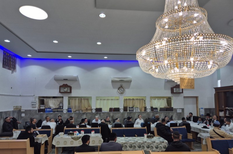 בשורה: רשת 'תפארת זקנים - לוי יצחק' מתרחבת לכלל החוגים בשורה: רשת 'תפארת זקנים - לוי יצחק' מתרחבת לכלל החוגים
