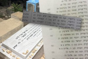 נחשף: כך רשם אח הרבי את שמו בספר הבוחרים של תל אביב