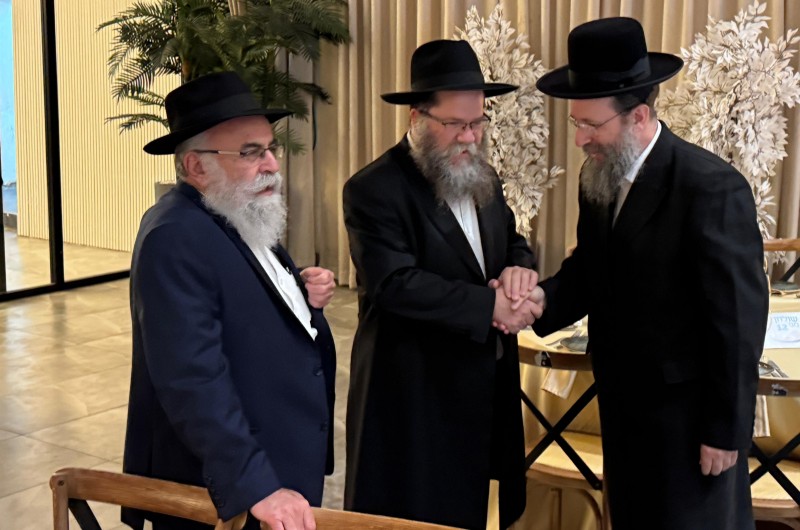 רבנים, חברי ויו