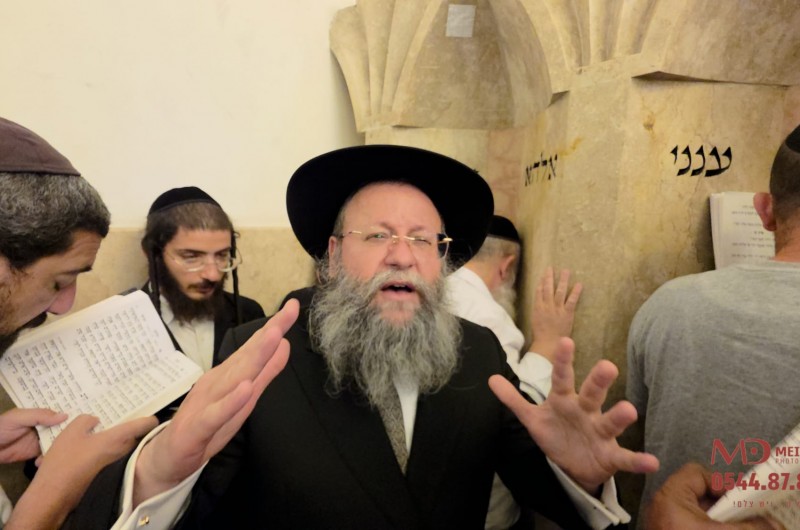 רבה החב רבה החב