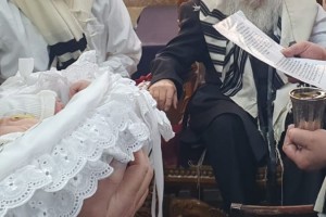 משטרה פשטה על בתי מוהלים – ודרשה רשימת נימולים