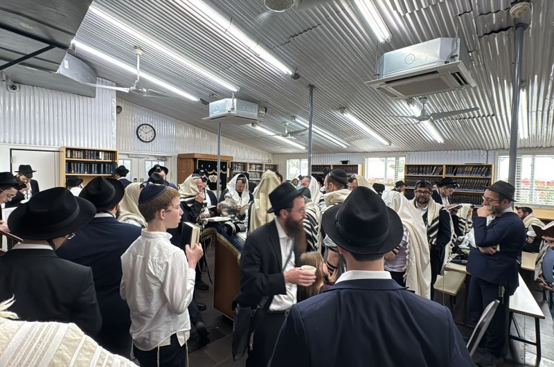 המוני חסידים ובהם אורחים מכל רחבי העולם גודשים את בית אוהל חב המוני חסידים ובהם אורחים מכל רחבי העולם גודשים את בית אוהל חב