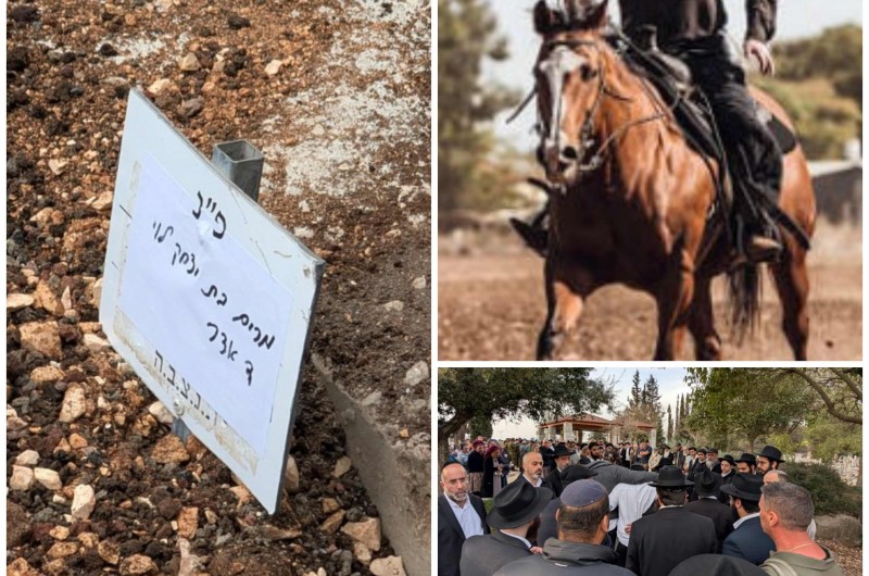 אישור להרחבת מרעה לחשוד בגרימת מותה של חסידת חב