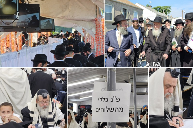 מכל העולם: אלפים נוהרים לאוהל הק' ביום ההילולא מכל העולם: אלפים נוהרים לאוהל הק' ביום ההילולא