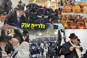 כתיבת הפ
