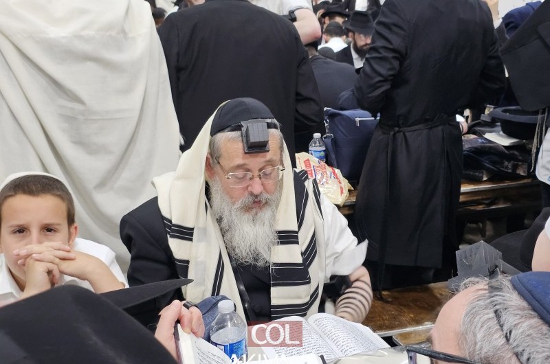 בין האורחים שהגיעו: רב קהילת חב בין האורחים שהגיעו: רב קהילת חב