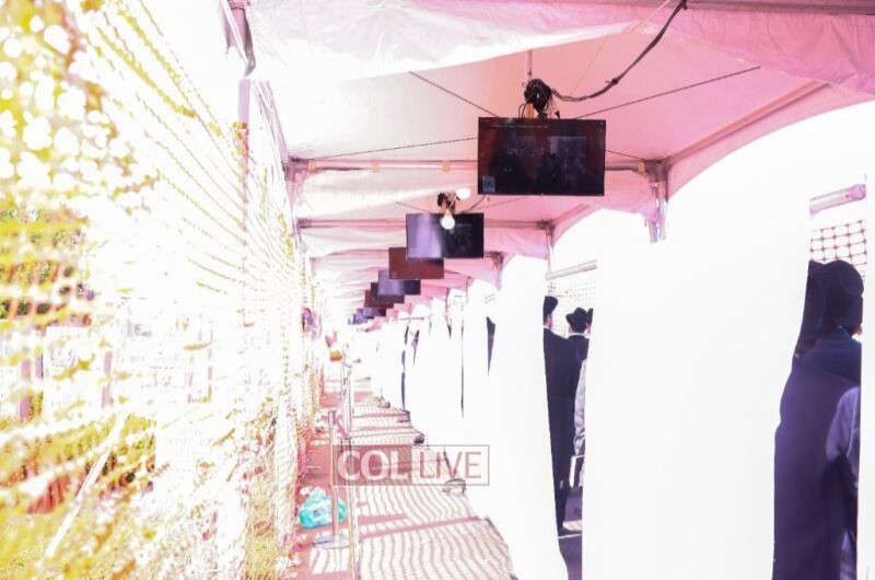 בדרך אל הקודש פנימה: מסכי וידאו נתלו לאורך מסלול ההמתנה עד לכניסה לציון של הרבי, בהם הוקרנו מראות קודש מעשרות השנים האחרונות בחצרות קודשנו