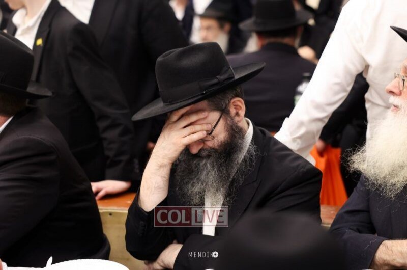 מאות מאנ מאות מאנ