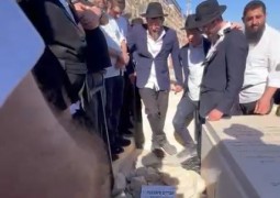 מנגנים בדמעות עם סתימת הגולל, על קברו הטרי של המוזיקאי החב מנגנים בדמעות עם סתימת הגולל, על קברו הטרי של המוזיקאי החב