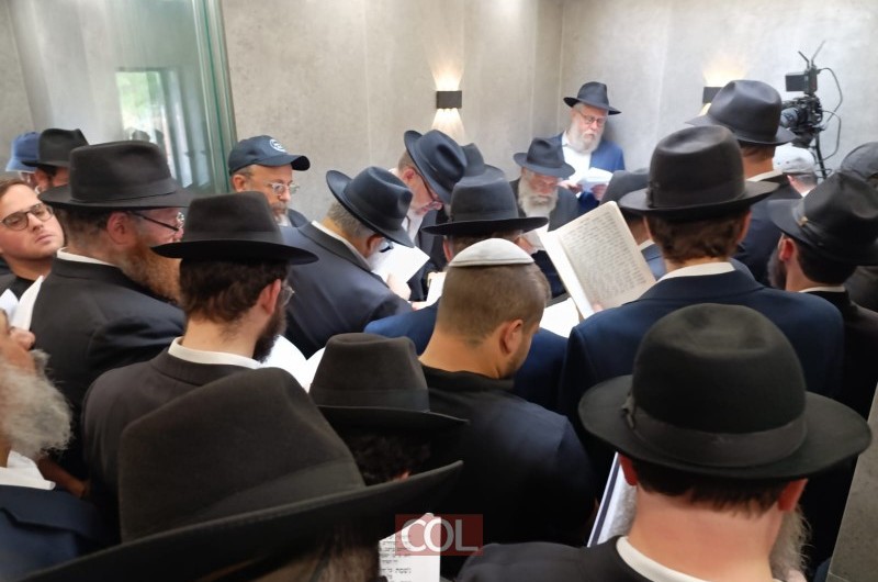 הצַ'רְטֶר ההיסטורי: כל הפרטים על הטיסה המדוברת ביותר בחב הצַ'רְטֶר ההיסטורי: כל הפרטים על הטיסה המדוברת ביותר בחב