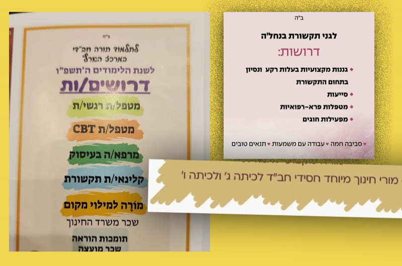 צו השעה: הכשרה לחינוך מיוחד ולמקצועות פרא-רפואיים צו השעה: הכשרה לחינוך מיוחד ולמקצועות פרא-רפואיים