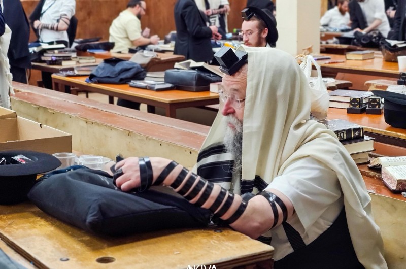 ראש ישיבת 'תומכי תמימים' בביתר עילית, חתנו יבדל לחיים של הרב יהודה לייב פוזנר ע