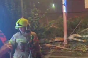 טרגדיה באסף הרופא: ליווה את אשתו ללדת ועץ קרס עליו