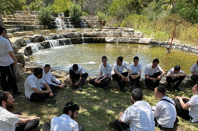 תות תות