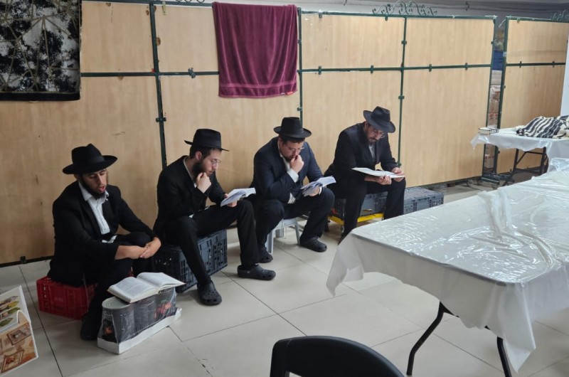 אמירת קינות בישיבת תות