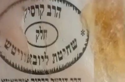 משגיח רבנות הפיץ: 