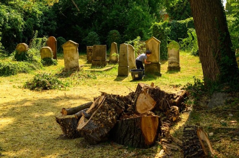 יוזמה מיוחדת בהונגריה: צעירים יהודים מנקים את בתי העלמין