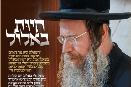 שיחה מקיפה עם המשפיע הרב יחיאל יהושע שיינפלד שליט