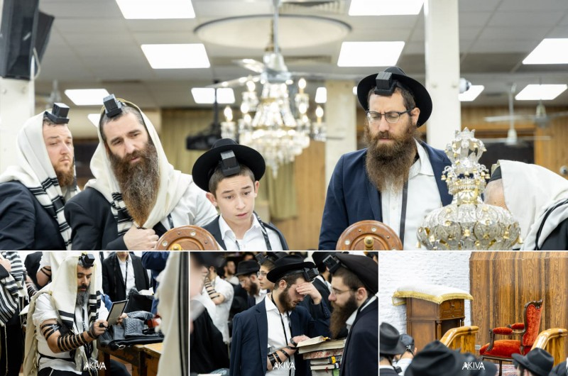 פוקוס מיוחד: גלריית שחרית ח