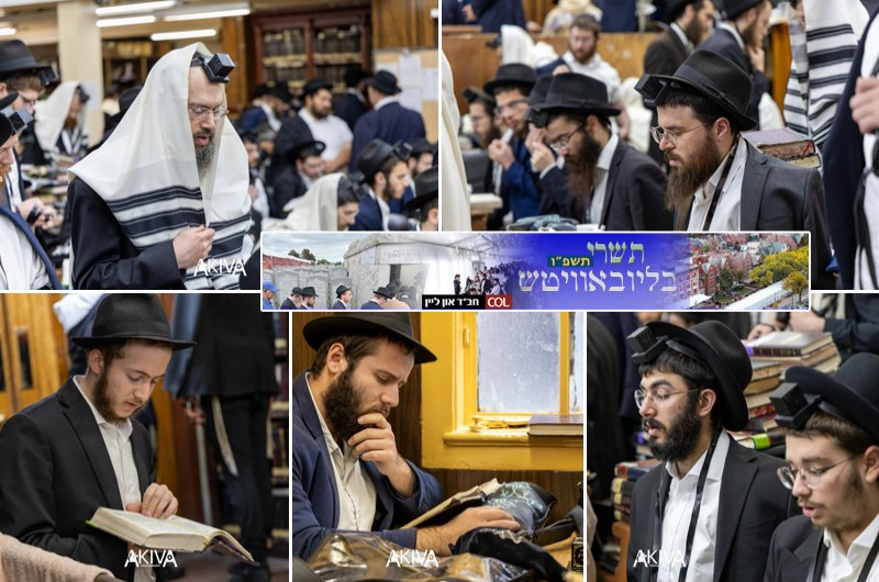 חפשו את הבן או קרוב המשפחה: תפילת שחרית הבוקר ב-770