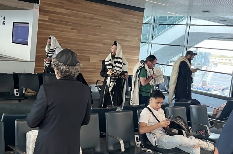 המחזה של החב