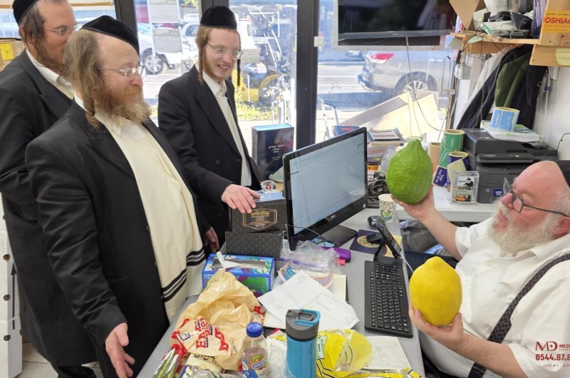 סוחר הד' מינים העולמי הנגיד החסידי ר' איצ'ע לוינזון מציג לקליינטים מובחרים זני אתרוגים תימנים נדירים במיוחד